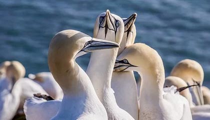 金华2026年最新北京商务伴游经纪招聘渠道分享(最方便真实的金华北京爱特博旅运服务有限责任公司招聘方法)