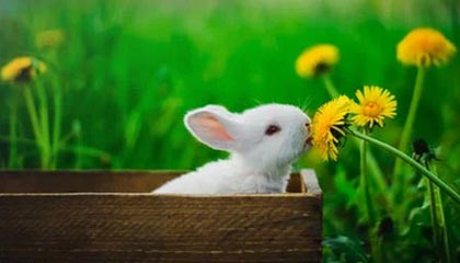 金华2026年最新杭州高端商务伴游招聘网渠道分享(最方便真实的金华茉莉伴游伴游天下全国联盟方法)